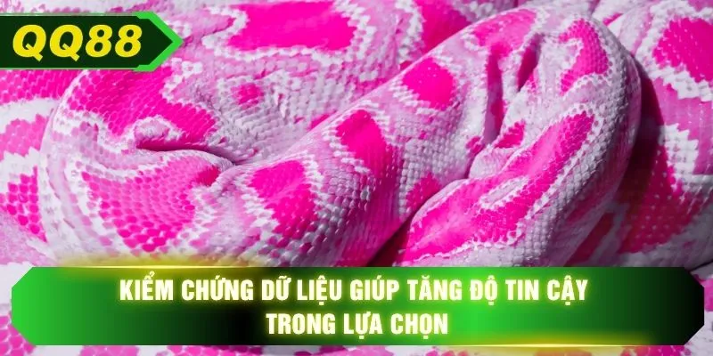 Kiểm chứng dữ liệu giúp tăng độ tin cậy trong lựa chọn