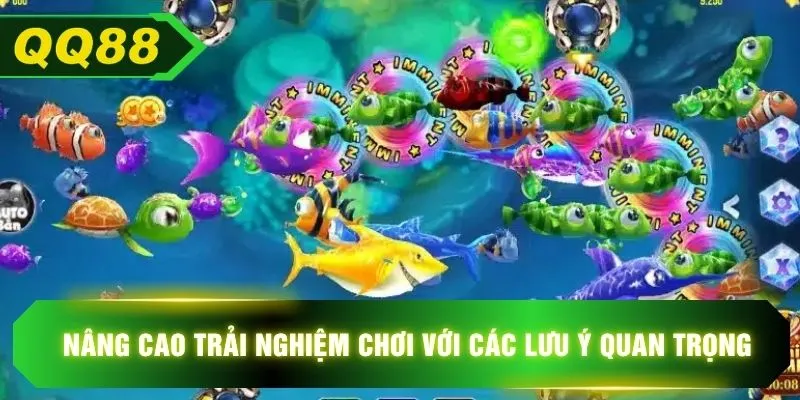 Nâng cao trải nghiệm chơi với các lưu ý quan trọng