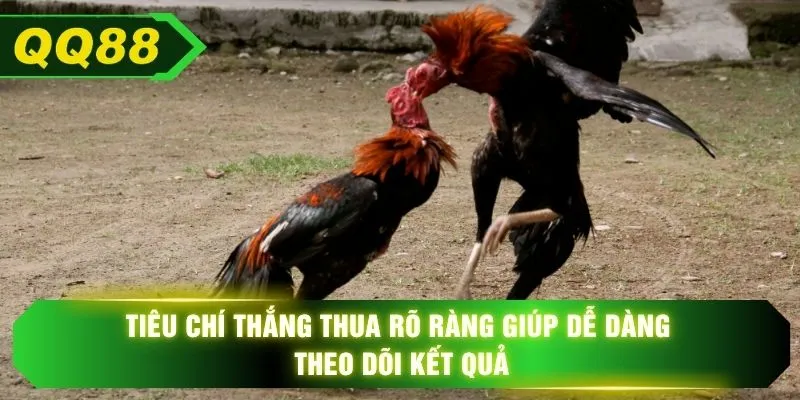 Tiêu chí thắng thua rõ ràng giúp dễ dàng theo dõi kết quả